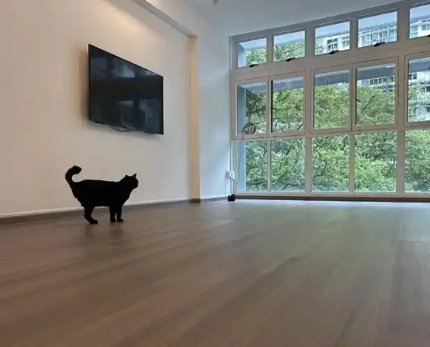 Vinyl Flooring Image 2